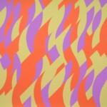 Carnival Carnival Bridget Riley 2000